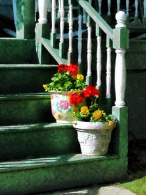 Geraniums and Pansies on Steps by Susan Savad