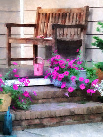 Pink Petunias and Watering Cans by Susan Savad
