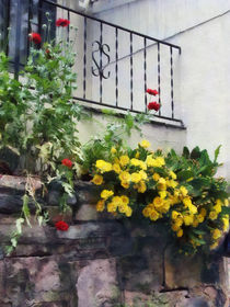 Planter With Yellow Flowering Cactus by Susan Savad