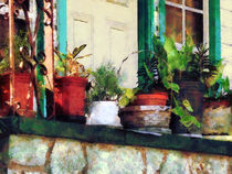 Plants on Porch von Susan Savad