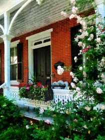 Porch With Climbing Roses by Susan Savad