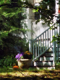 Porch With Pot of Chrysanthemums von Susan Savad