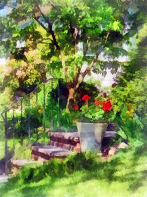 Pot of Geraniums Near Steps by Susan Savad