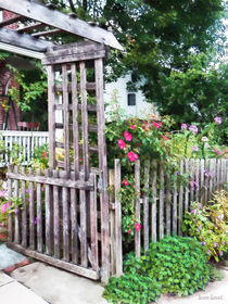 Roses on a Weathered Picket Fence by Susan Savad