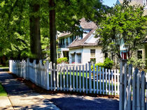 White Picket Fence by Susan Savad