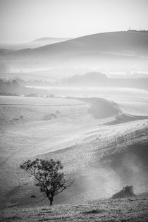 Adur Valley Mist von Malc McHugh