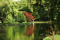 Teich im Englischen Garten in München by Sabine Radtke