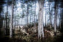 The Misty Forest von Marc Garrido Clotet