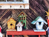 Birdhouses for Sale by Susan Savad