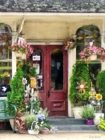 Strasburg PA - Flower Shop With Birdhouse by Susan Savad