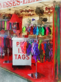 Pet Leashes and Harnesses For Sale by Susan Savad