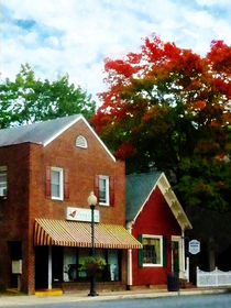 Small Town in Autumn von Susan Savad