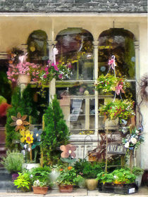Strasburg PA Flower Shop von Susan Savad