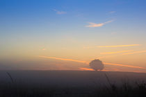 sunrise by Dirk Hoffmann