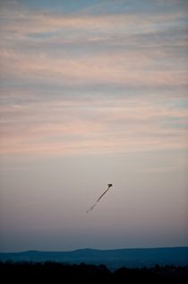 High as a Kite by Irene Petzwinkler