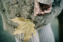 autumn  by Inna Mosina
