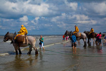 Krabbenfischer an der belgischen Nordseeküste zu Pferd von Gerhard Köhler