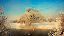Beautiful Russian Winter by Yuri Hope