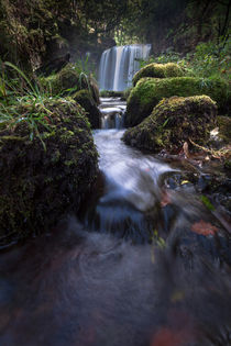 Sgwd yr Eira waterfalls by Leighton Collins