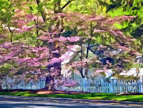 White Picket Fence by Flowering Trees von Susan Savad