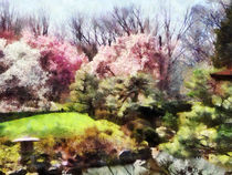 Japanese Spring by Susan Savad
