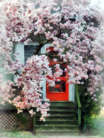 Magnolia by Red Door by Susan Savad
