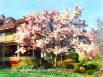 Magnolia Near Green House by Susan Savad