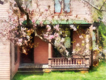 Magnolias by Back Porch by Susan Savad
