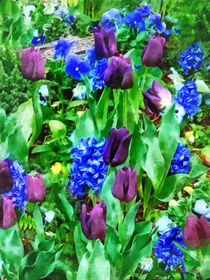 Spring Garden in Shades of Purple by Susan Savad