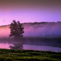 Herbstmorgen // colorful morning von Marcus Hennen