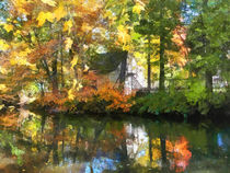 White House by Lake in Autumn by Susan Savad