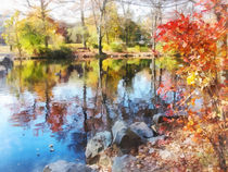 Autumn Lake by Susan Savad