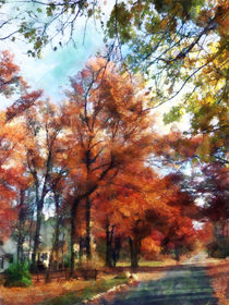 Autumn Street Perspective by Susan Savad