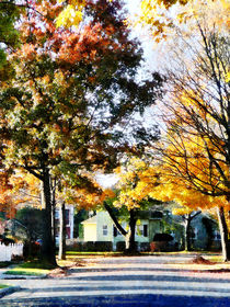 Autumn Street with Yellow House by Susan Savad