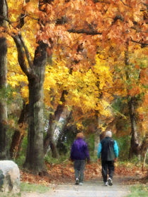 Autumn Stroll by Susan Savad