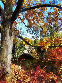 Autumn Tree by Small Stone Bridge von Susan Savad