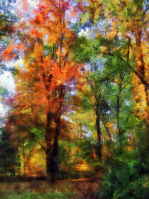 Autumn Woods by Susan Savad