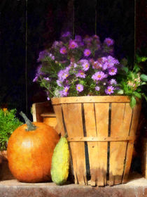 Basket of Asters With Pumpkin and Gourd by Susan Savad