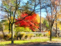 Colorful Autumn Street von Susan Savad