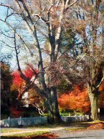 House With Picket Fence in Autumn von Susan Savad