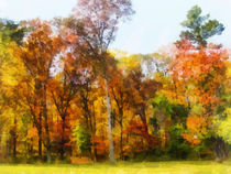 Row of Autumn Trees by Susan Savad