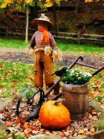 Scarecrow and Pumpkin by Susan Savad