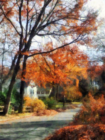 Suburban Street in Autumn by Susan Savad