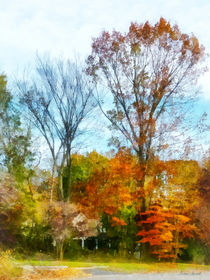 Tall Autumn Trees by Susan Savad