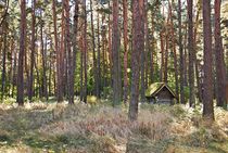 old hut deep in the woods... 2 by loewenherz-artwork