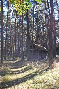 old hut deep in the woods... 1 by loewenherz-artwork