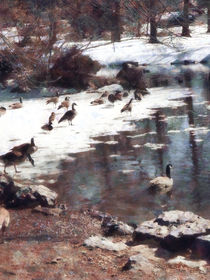 Geese on an Icy Pond von Susan Savad