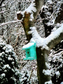 Turquoise Birdhouse in Winter by Susan Savad