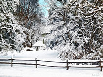Winter Wonderland by Susan Savad