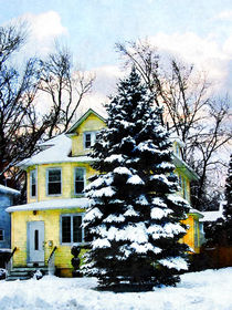 Yellow House in Winter von Susan Savad
